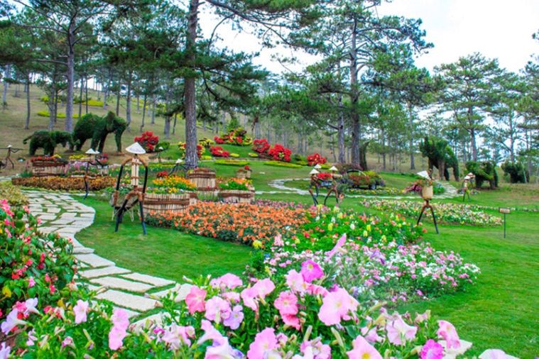 Thung Lung Tình Yêu - Đà Lạt